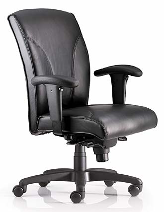 Ergonomic Furniture